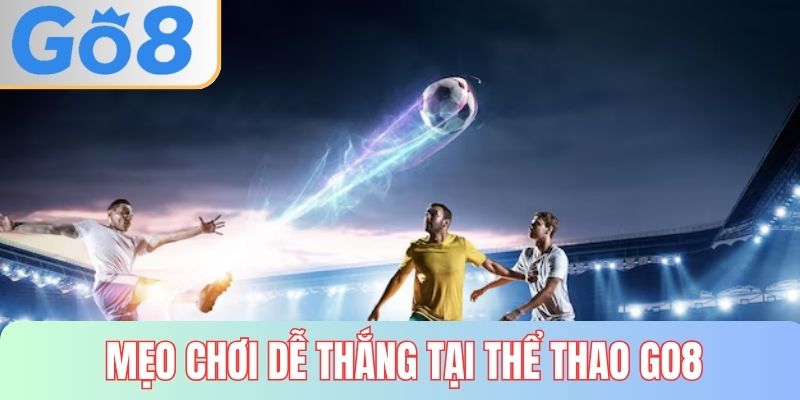 Mẹo chơi dễ thắng đậm tại sports GO8 
