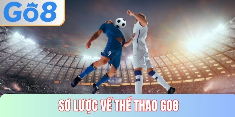 Sơ lược về thể thao GO8 